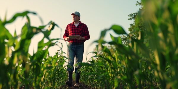 Aides agricoles : de nouveaux montant et de nouvelles conditions